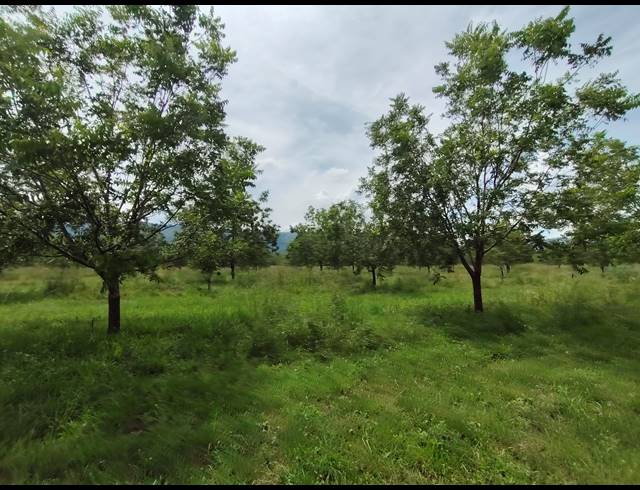 96HA FARM FOR SALE IN HEKPOORT